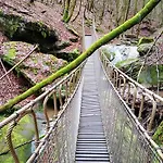 In Der Vulkaneifel 