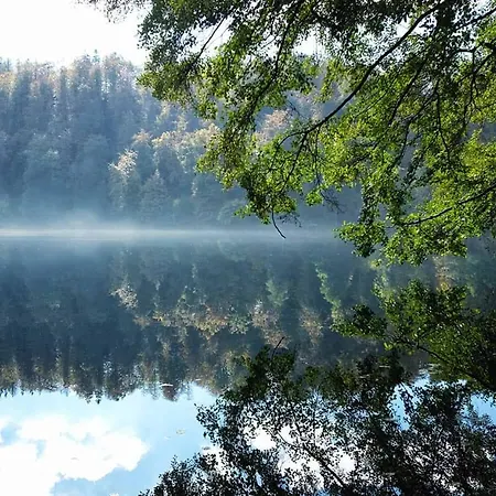 アパート In Der Vulkaneifel 