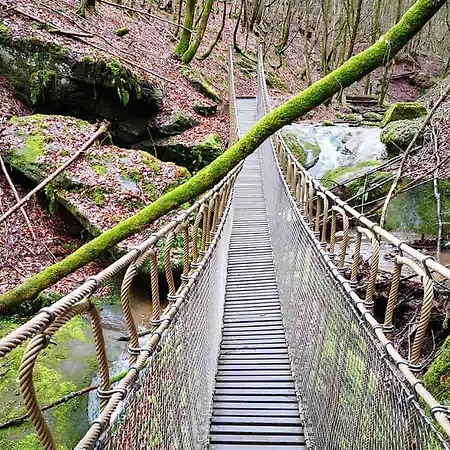 In Der Vulkaneifel Opp Der Holl *